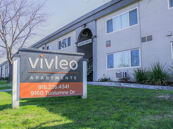 Vivleo